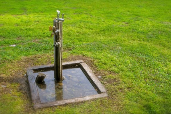 Well pump surrounded by grass in backyard